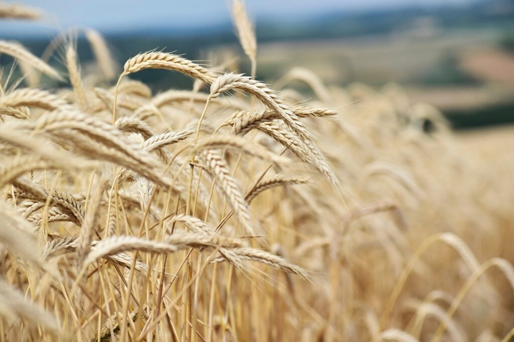 夜泣きが終わる時期の目安はいつですか？