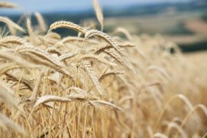 夜泣きが終わる時期の目安はいつですか？