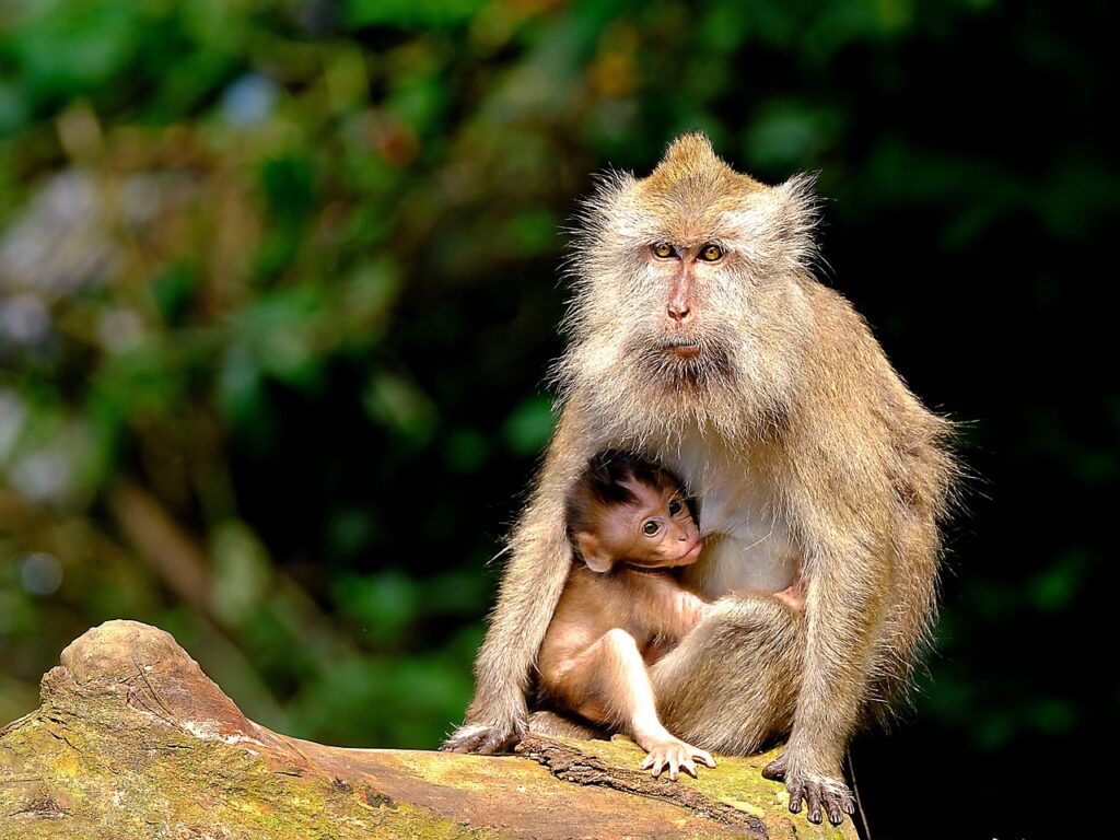 育児中の寝不足を解消するための具体的な方法は？