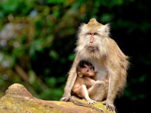 育児中の寝不足を解消するための具体的な方法は？