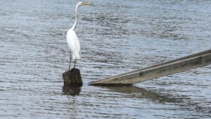 子育ての疲れはいつまで続くのか知りたい？