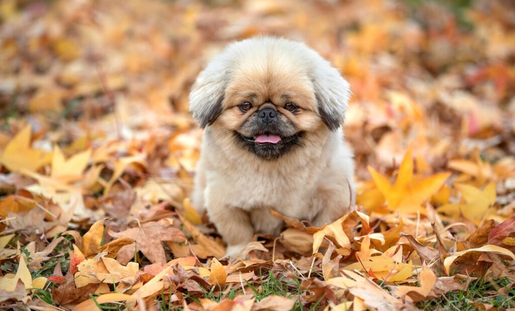 夜泣きを放置するのはいつから始めるべきですか？