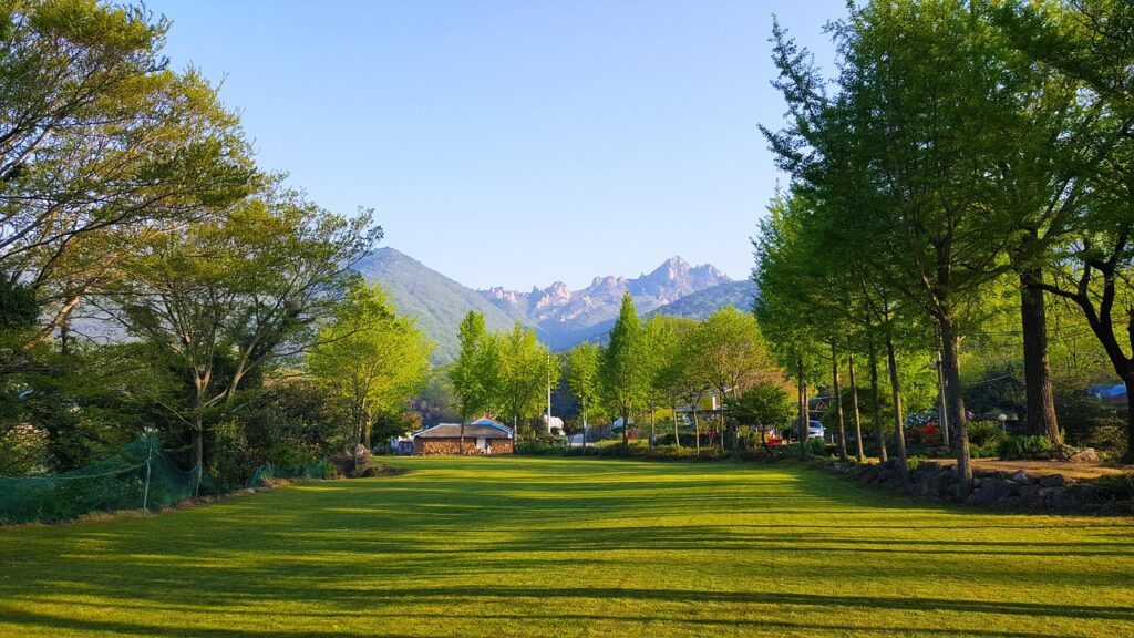 生後6ヶ月の赤ちゃんが夜泣きを急に始めた理由とは？