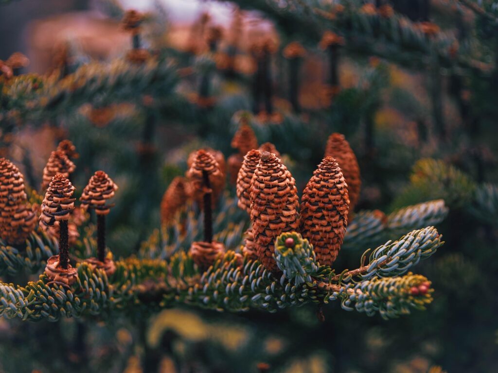 生後4ヶ月の夜泣き対策におすすめのアイテムは？