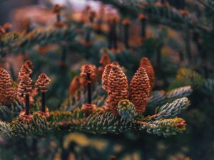 生後4ヶ月の夜泣き対策におすすめのアイテムは？