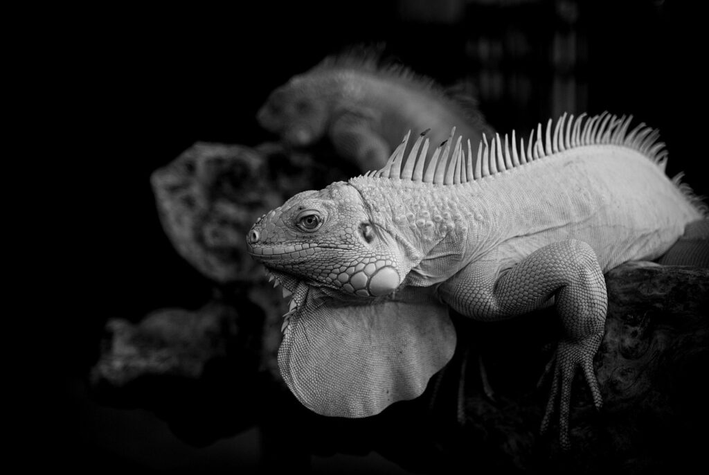 夜泣きで夜中に起きる回数を減らすための方法は？