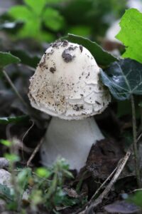 夜泣きを防ぐための湿度調整方法は？