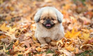 夜泣きに悩むワーママが感じる限界とは？