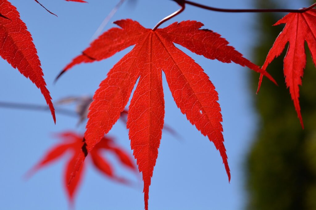 夜泣きが終わりそうなサインはどこに見える？