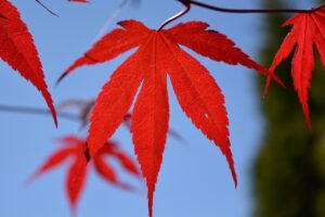 夜泣きが終わりそうなサインはどこに見える？